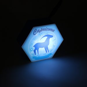 Led lighting Zodiac Sign Capricorn - color Blue - Boy