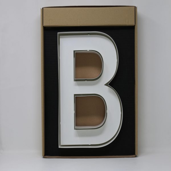 Quizzy Neon Style letter B